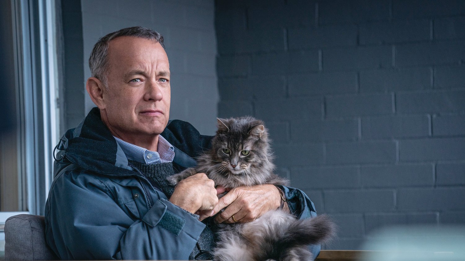 Tom Hanks is "A Man Called Otto."